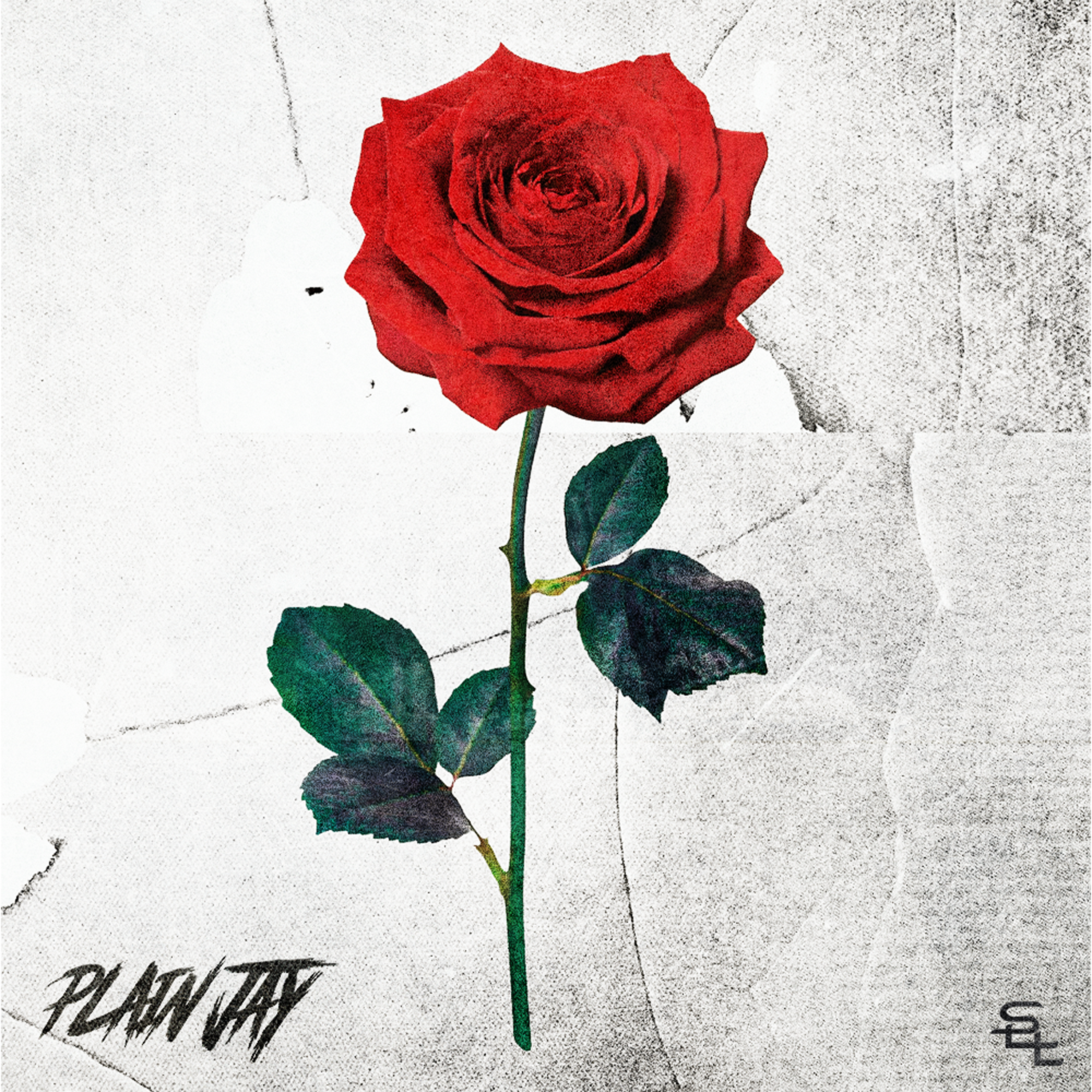 Plain Jay — Passion