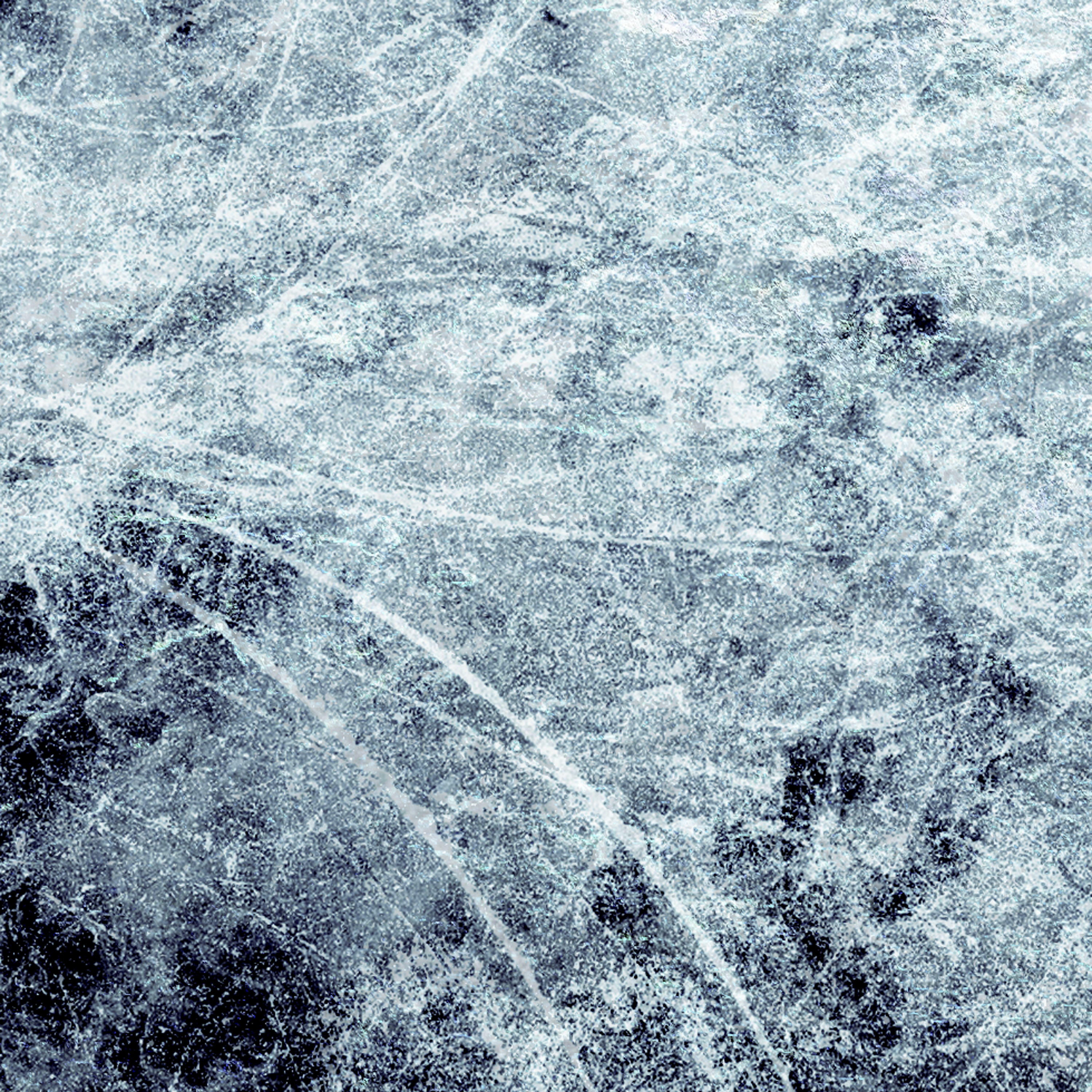 Plain Jay — Frozen