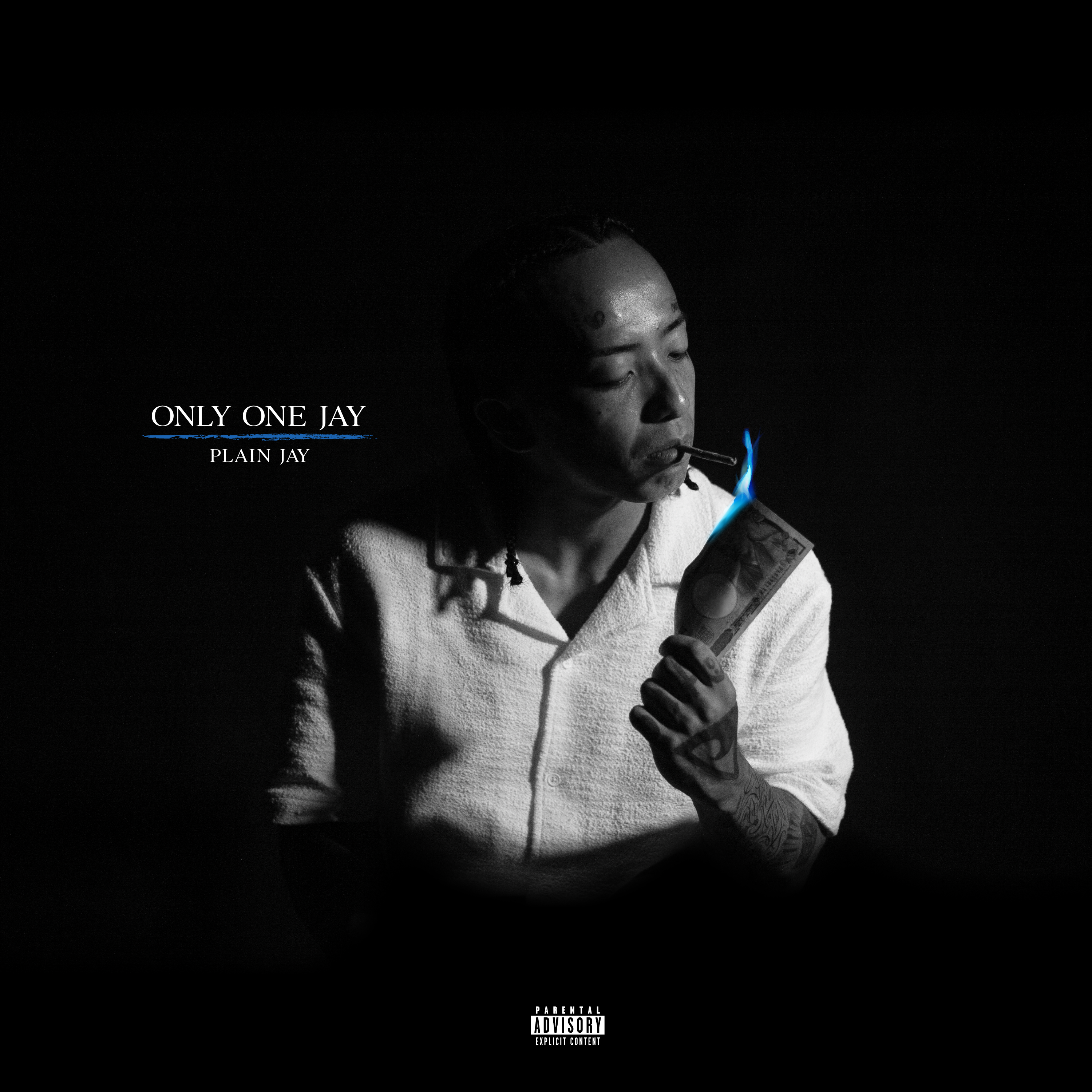 Plain Jay — Only One Jay